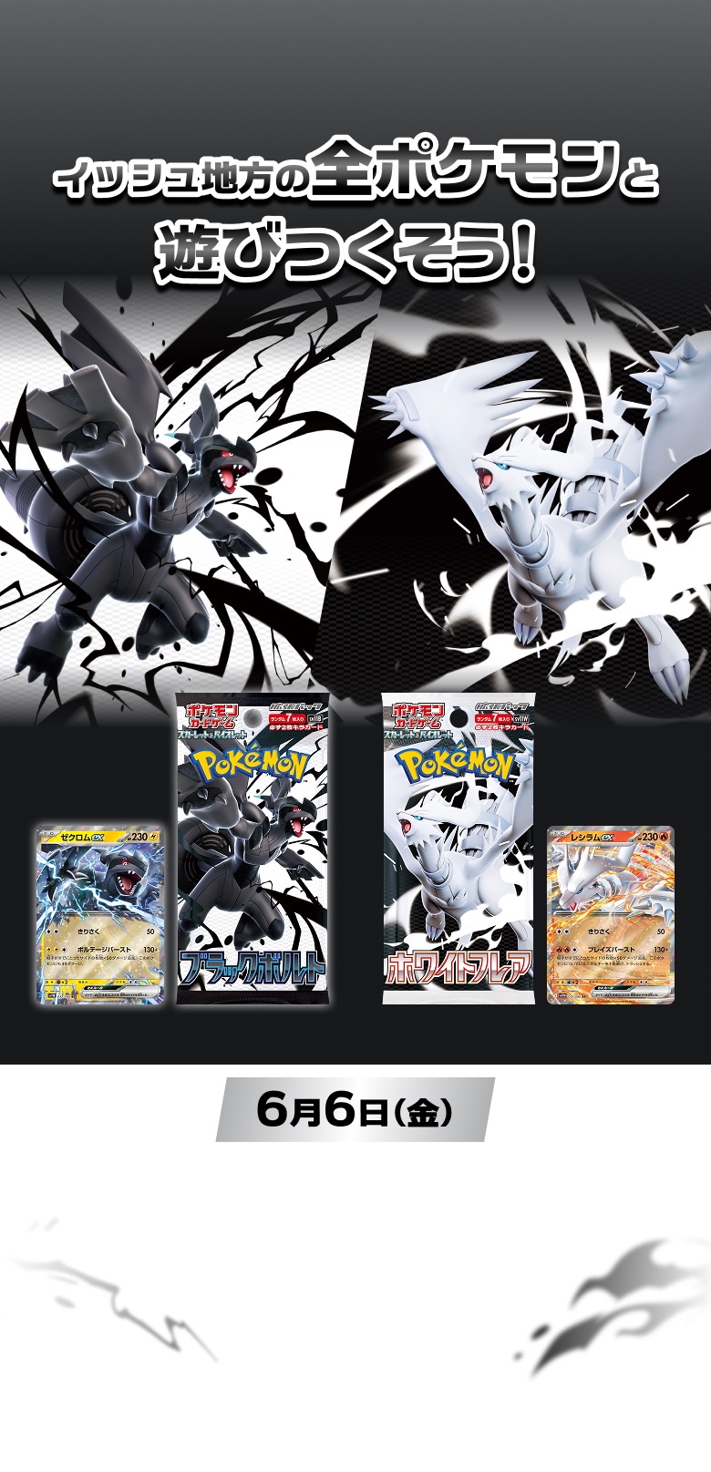 Archived Japanese Pokemon Card Game SV11 artwork showing two pack and card views