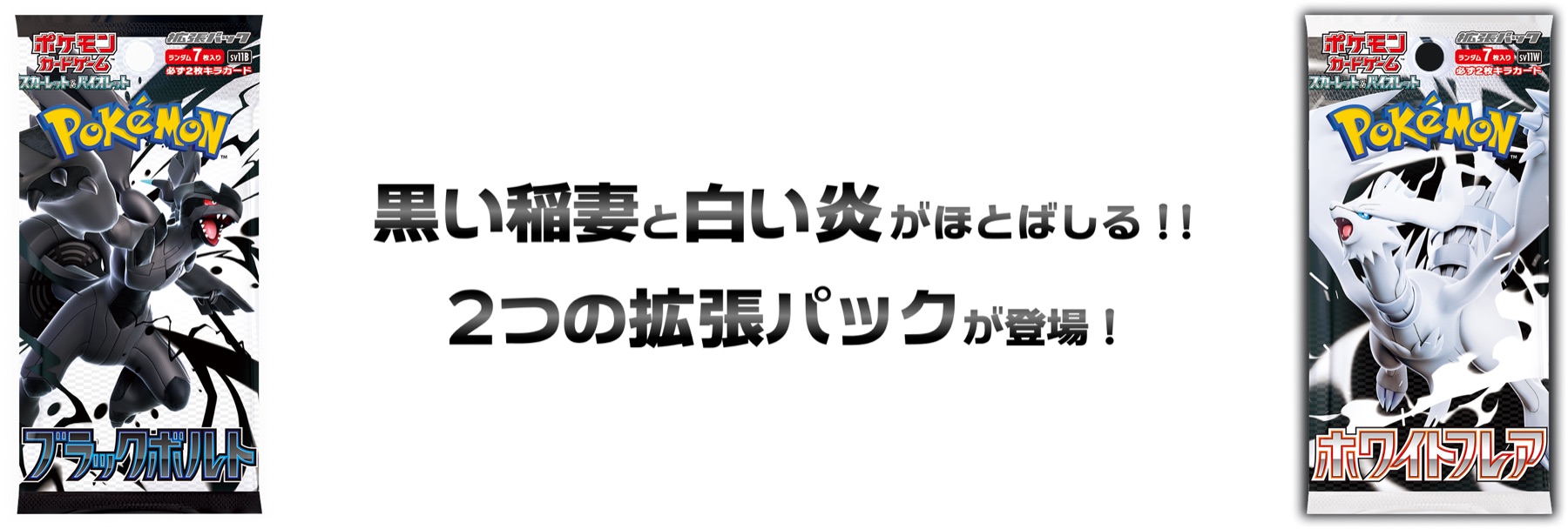 Archived Japanese Pokemon Card Game reference showing the SV11 Black Bolt and White Flare booster packs