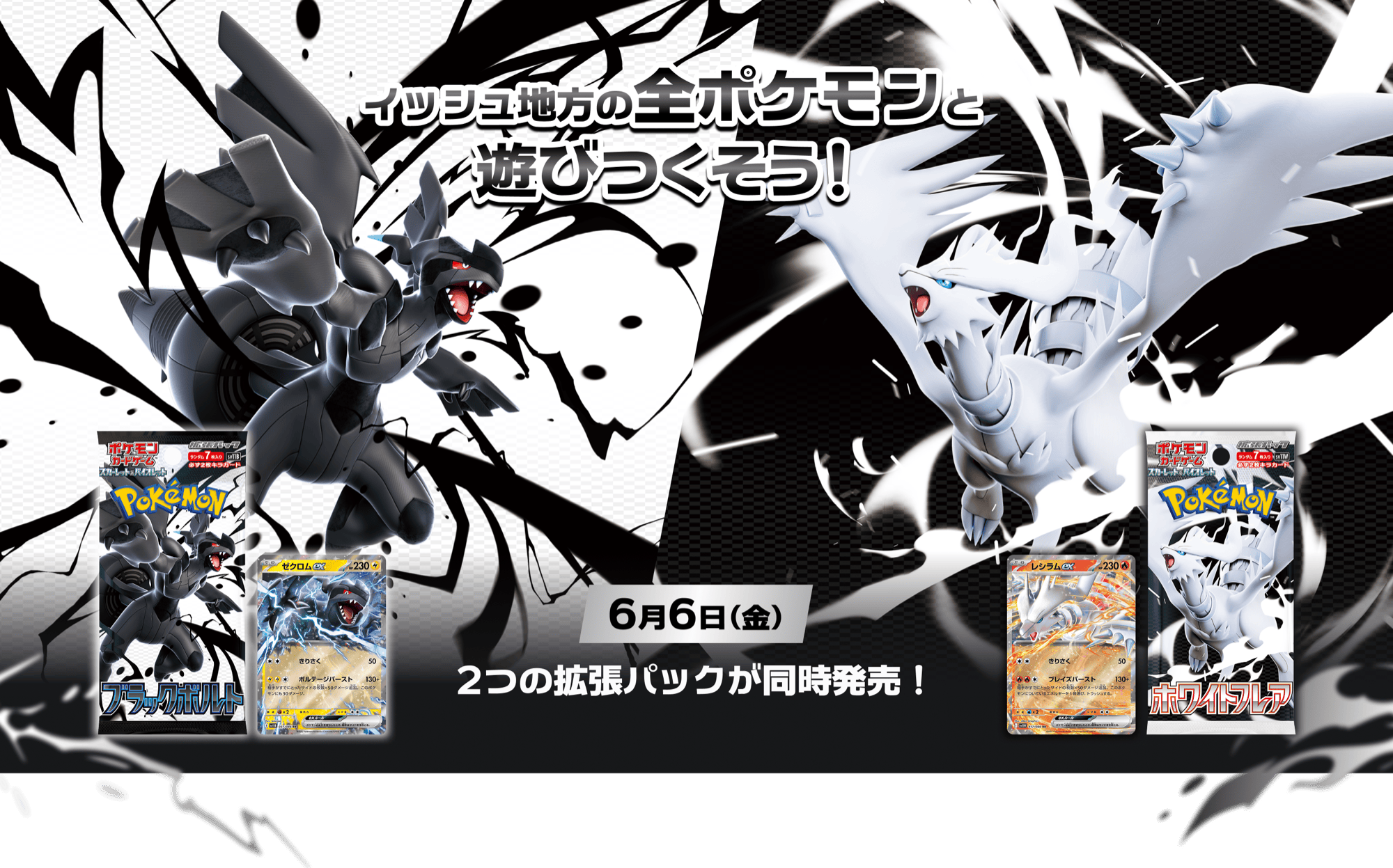 Archived Japanese Pokemon Card Game artwork for the SV11 Black Bolt and White Flare expansion packs